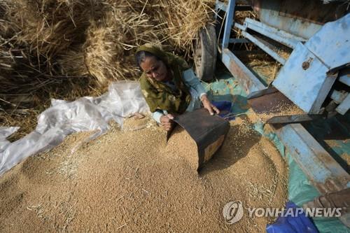 '밀 수출 금지' 인도 정부 "식량 부족국가엔 수출 창구 열어둬"