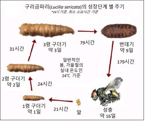 그가 숨진 시간, 곤충은 안다…국내 첫 법곤충감정실 출범