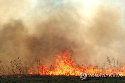 러시아서 잇따른 산불로 2만4천㏊ 소실…일부에 비상사태 선포