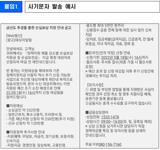 손실보전금 관련 사기 문자·전화 기승…정부, 각별한 주의 당부