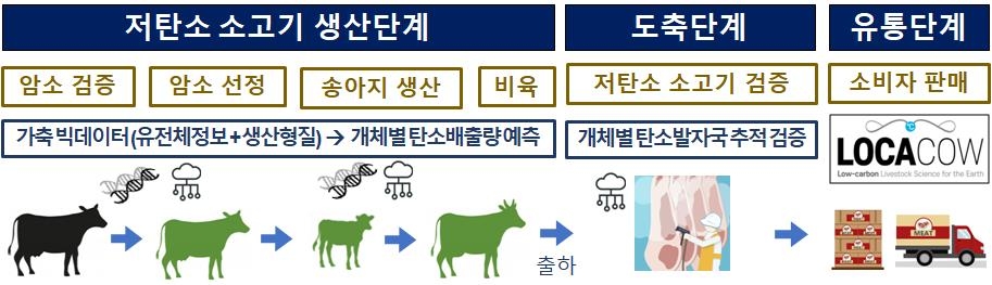 '유전체 분석 빅터이터'로 검증된 저탄소 한우고기 나온다