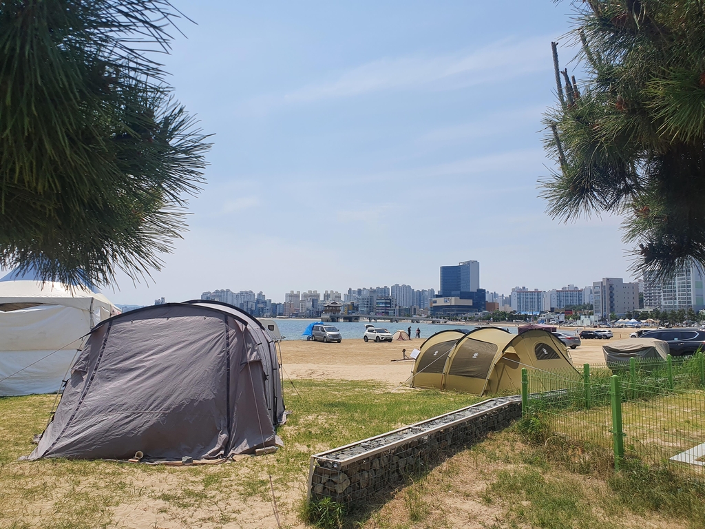 거리두기 해제에 너도나도 캠핑…포항 바닷가 불법 텐트로 몸살