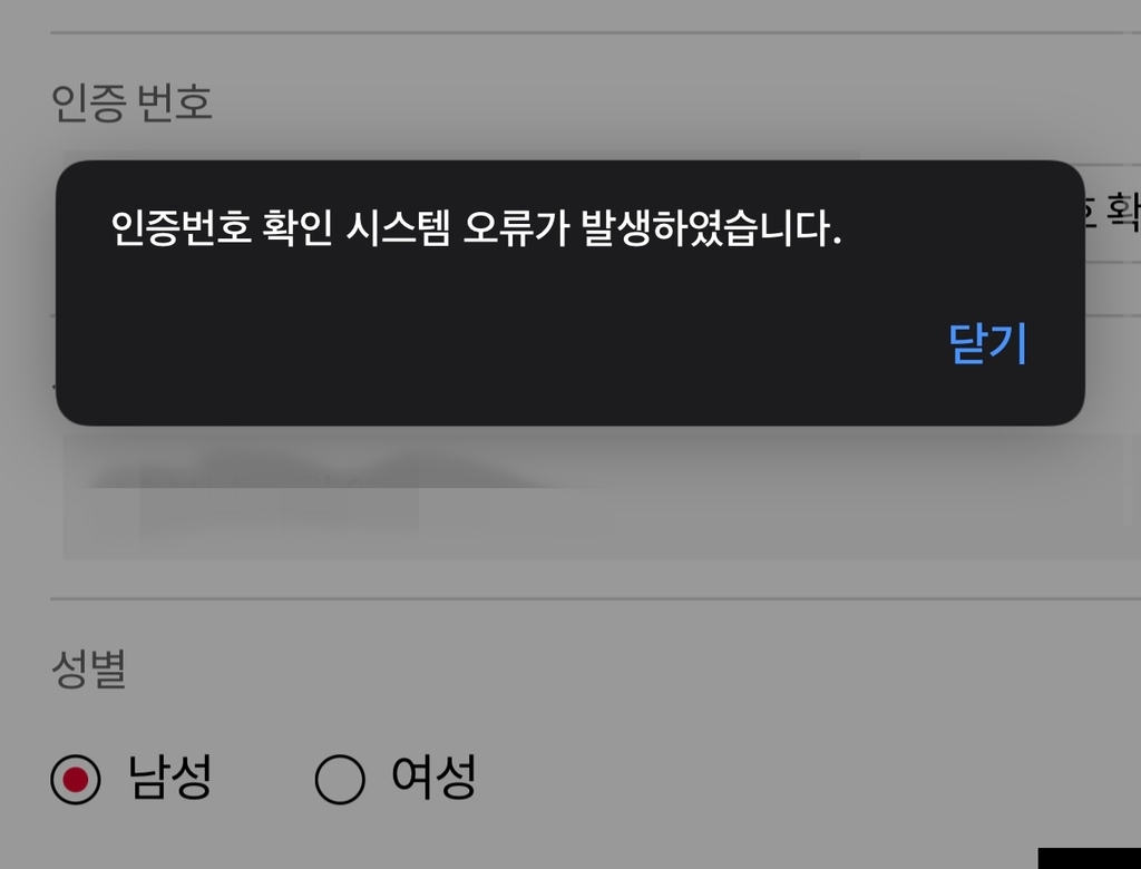 손흥민 보기는 '별 따기'…브라질전 예매 사이트 또 먹통