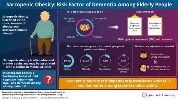 "근 감소성 비만 노인, 치매 위험↑"