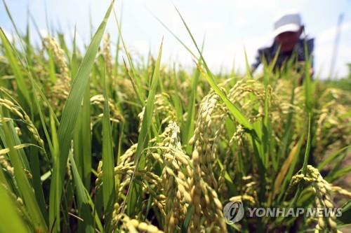 '가짜 농부' 밀양시 공무원들, 농지법 위반 무더기 징역형