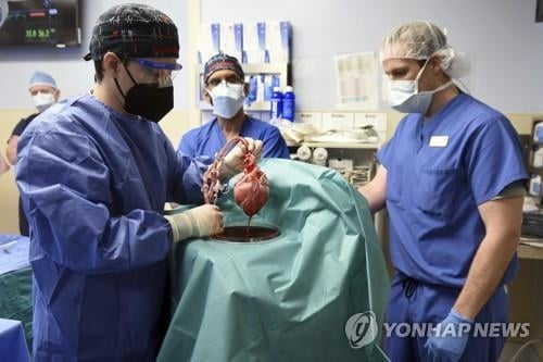 세계 첫 '돼지심장' 이식 후 사망…"예상치 못한 돼지 바이러스 발견"