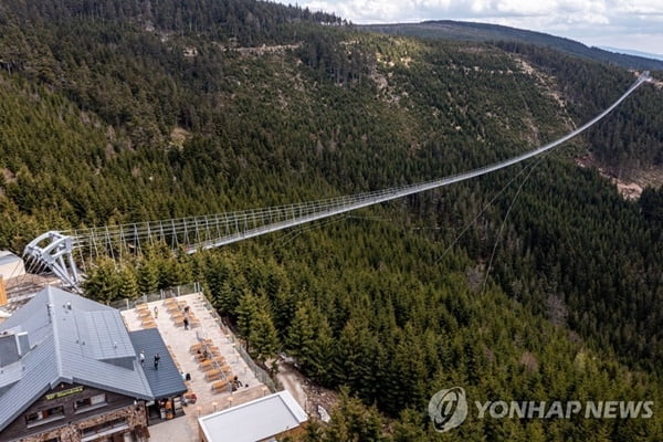 강풍 불면 폐쇄…721m '세계 최장 출렁다리' 개통