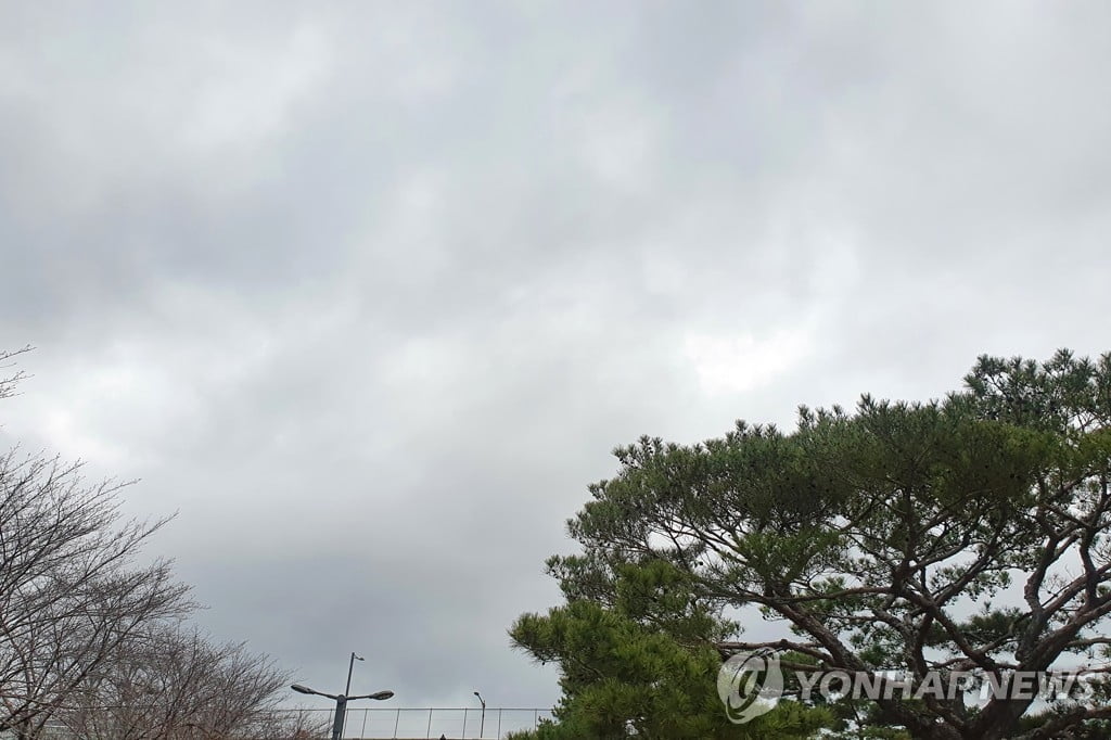 전국 구름 많고 밤부터 맑아져…제주·전남 내륙 곳곳에 비