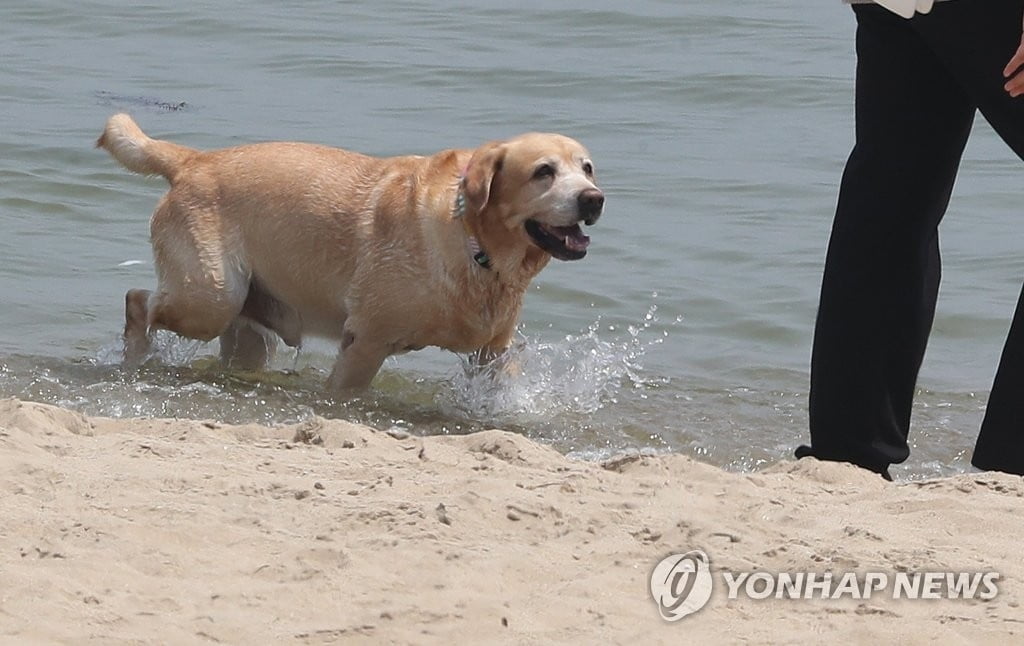 전국 대체로 맑다가 밤부터 비…낮 최고기온 32도