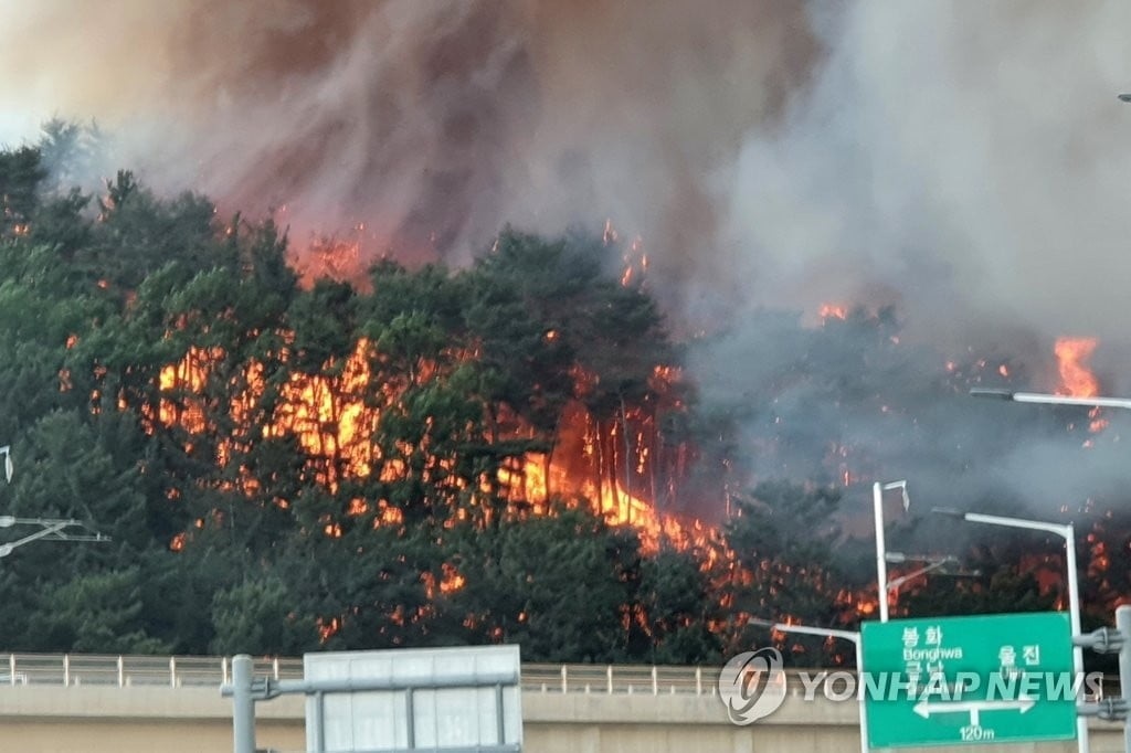 울진 산불 7시간째 확산…'대응 2단계' 발령 진화 중