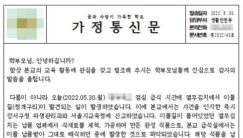 급식 열무김치서 죽은 청개구리 나와…교육청 조사