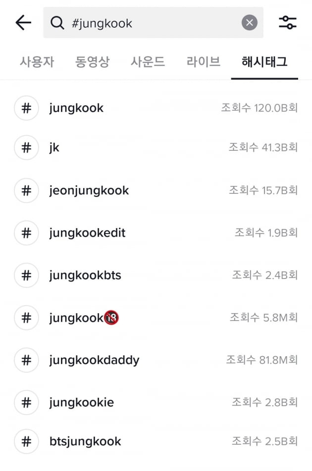 방탄소년단 정국 '틱톡'서 '#jungkook' 개인 '최초' 1200억뷰 돌파