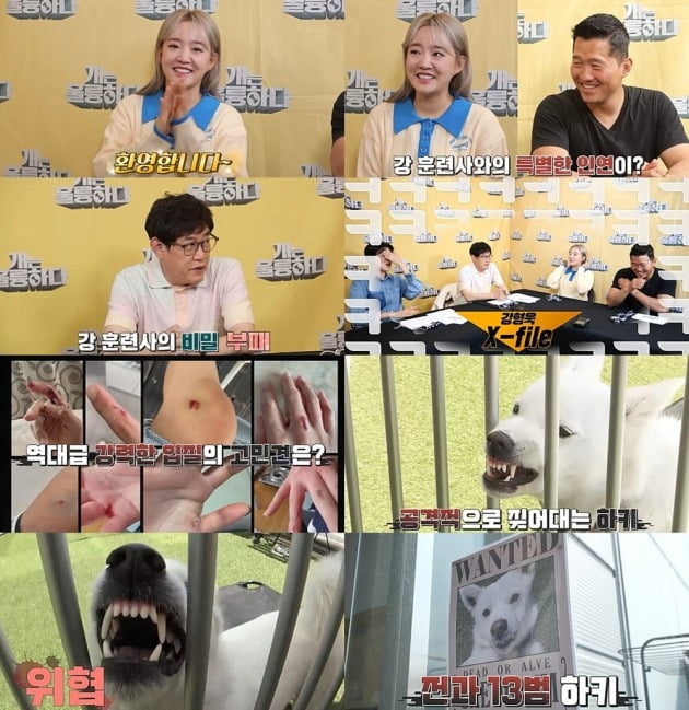 사진제공=KBS2 ‘개는 훌륭하다’