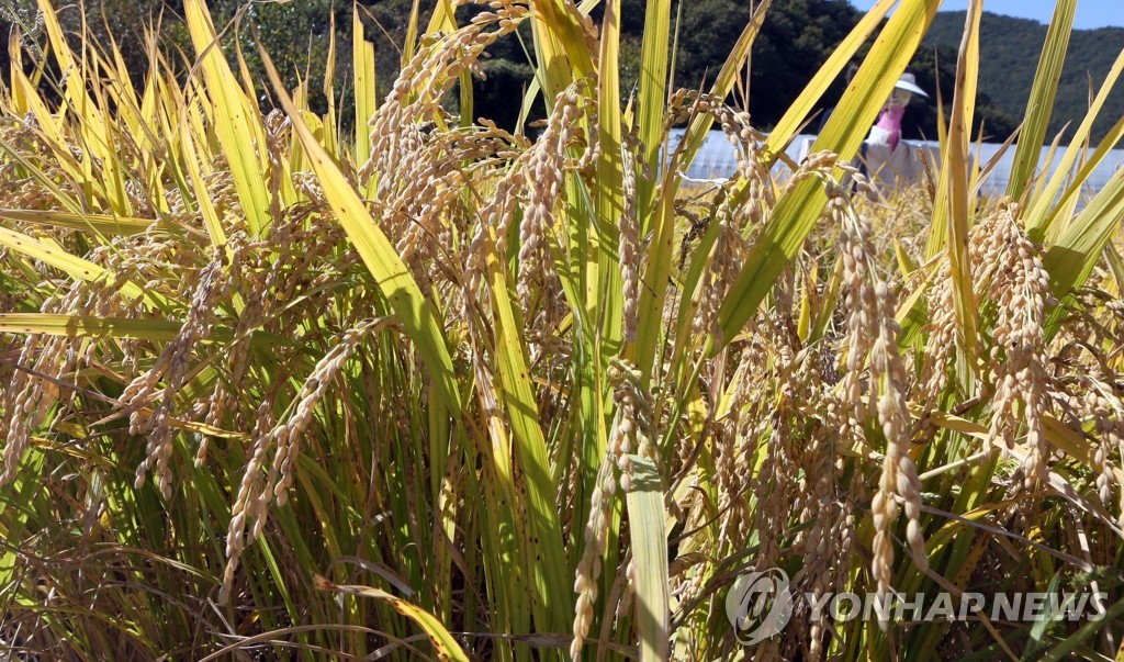 "곡물 생산국 '식량무기화' 우려…헌법에 '식량안보' 명시해야"