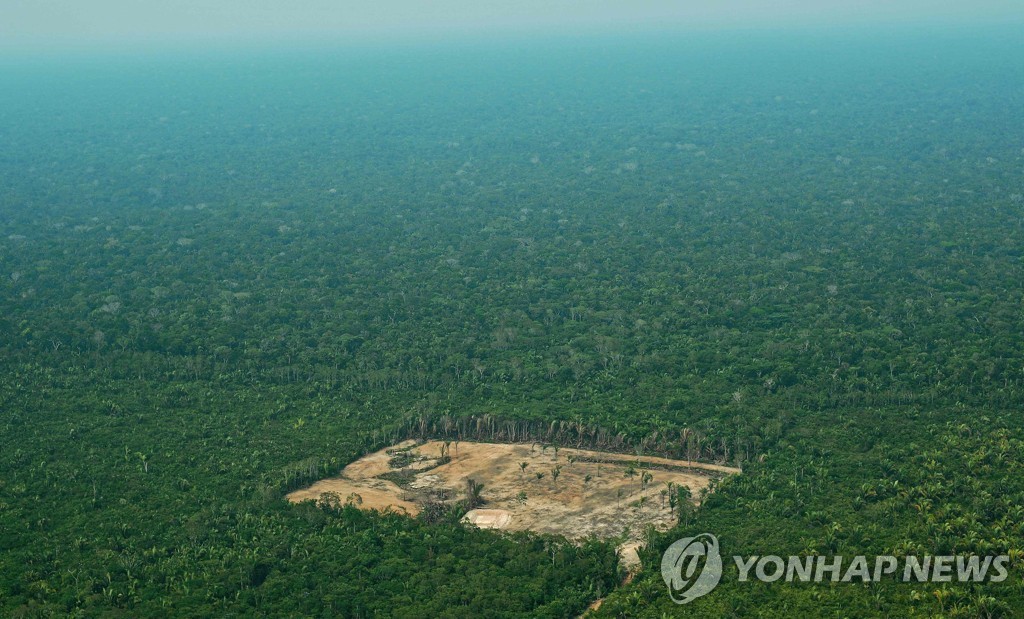 브라질, 환경범죄 벌금 대폭 인상…실효성은 '글쎄'