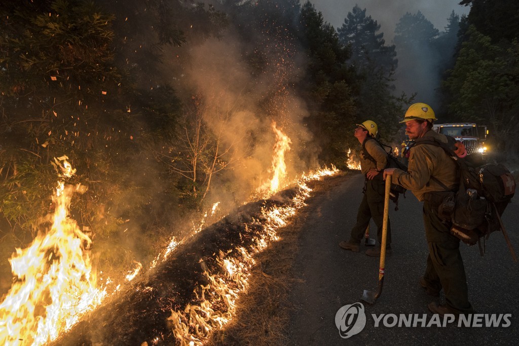 방화로 멸종위기 독수리 죽게 한 美남성에 징역 24년형