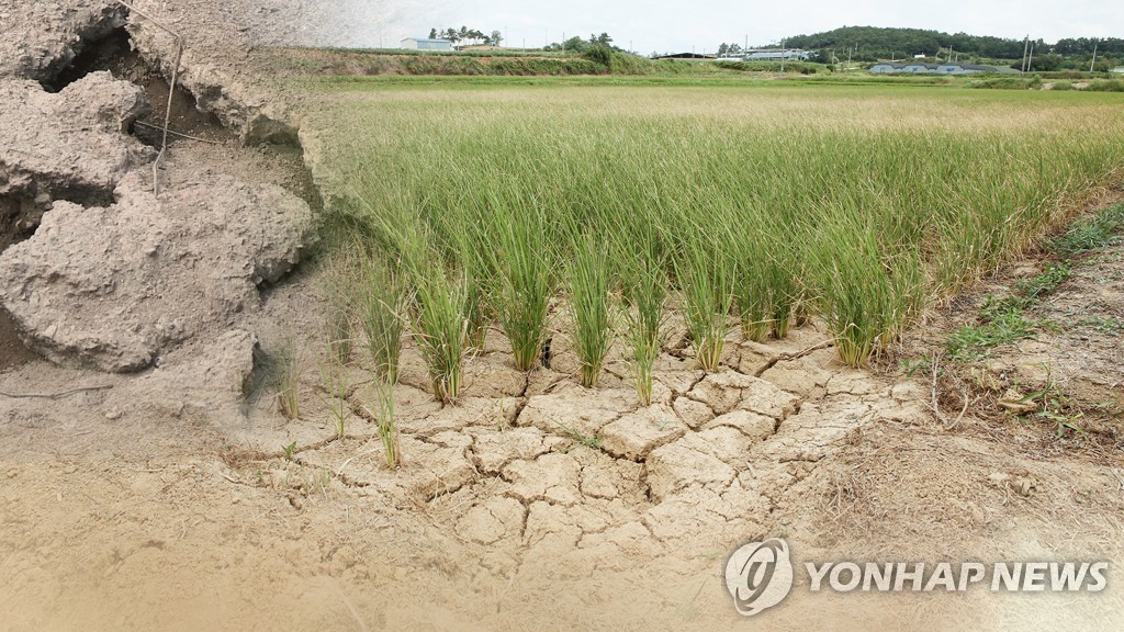 전북 올봄 강수량 평년 57% 그쳐…가뭄 우려에 관계기관 분주