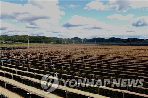 "풍기인삼·인견 구경 오세요"…서울 인사동서 전시·판매 행사