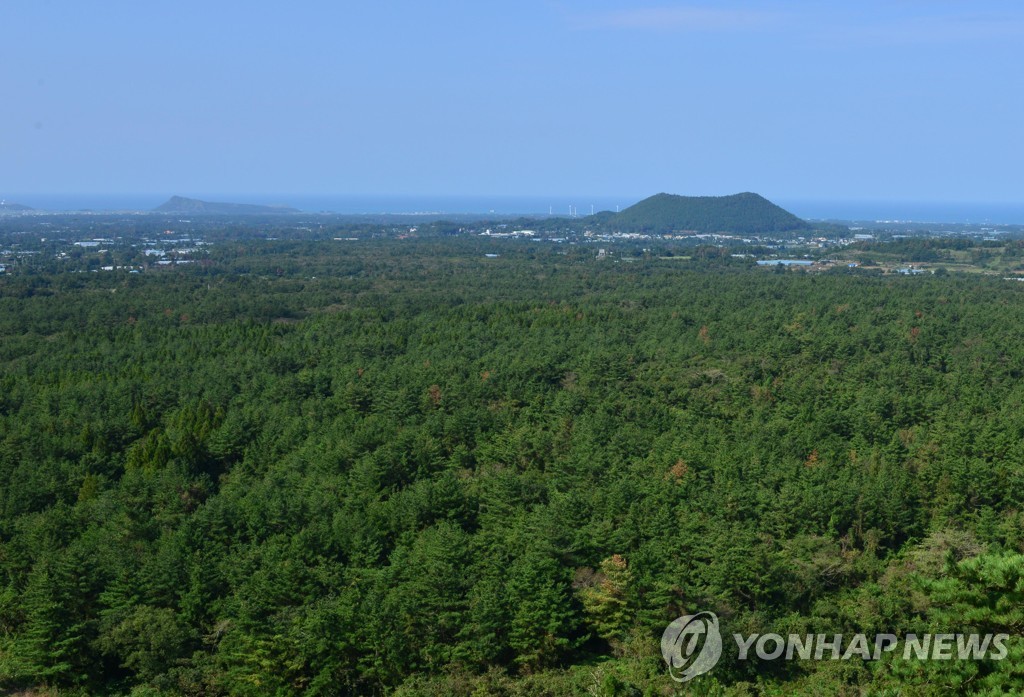 제주 곶자왈 보전 정책 질의에 도의원 후보 70％ '무응답'