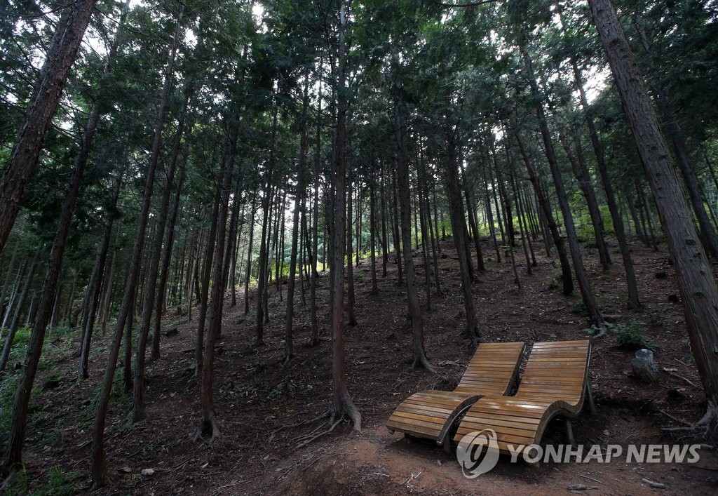 코로나19 영향에 등산·트래킹 관광 인기↑…울산연구원 분석