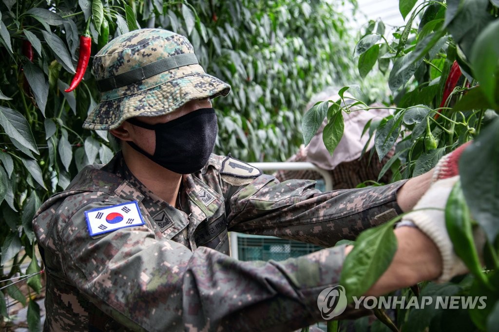 국방부, 전군 재난관계관 회의…풍수해·폭염 대비 점검