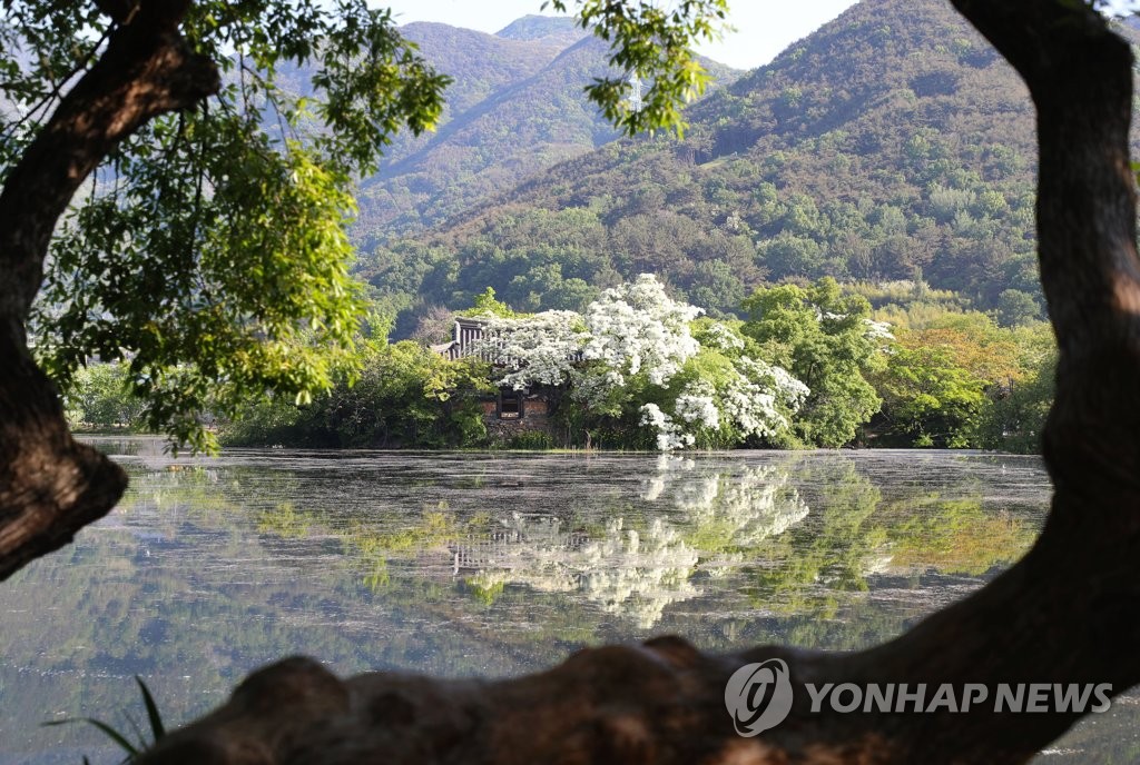 [픽! 밀양] 은은한 경관조명…밤에도 아름다운 위양지