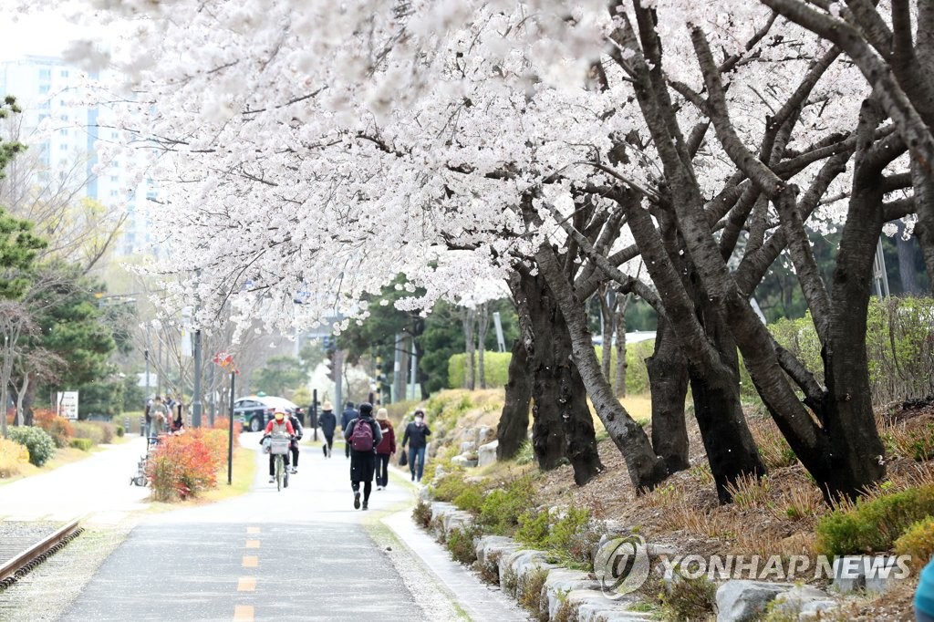 하루 평균 3만명 이용…포항 녹지축 중심 철길숲 인기