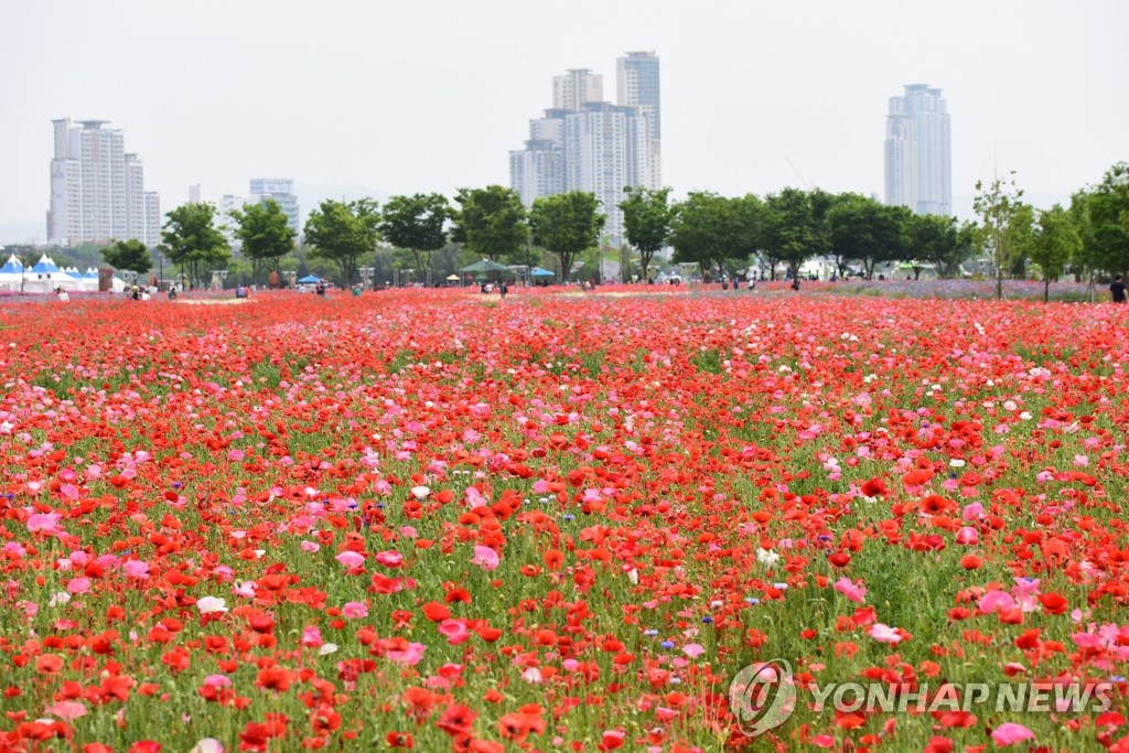 울산시, 국가정원 새내기 정원사 경진대회 14일 개최