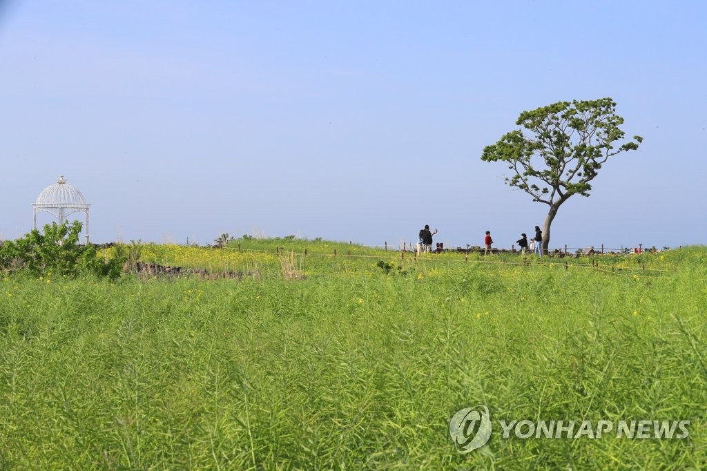 봄 정취 물씬 산으로 바다로…유명 관광지 등 '인산인해'