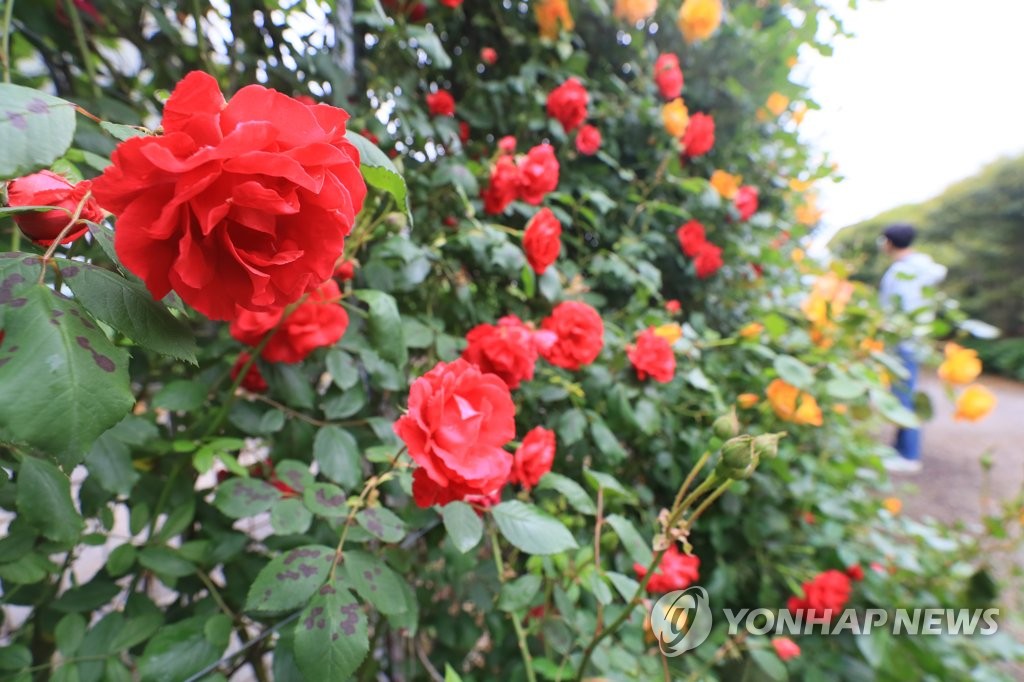 대구·경북 아침까지 비 조금…낮 최고 19~25도