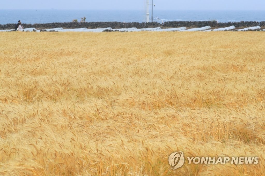 제주, 대체로 맑다가 구름 많아져…낮 최고기온 23도