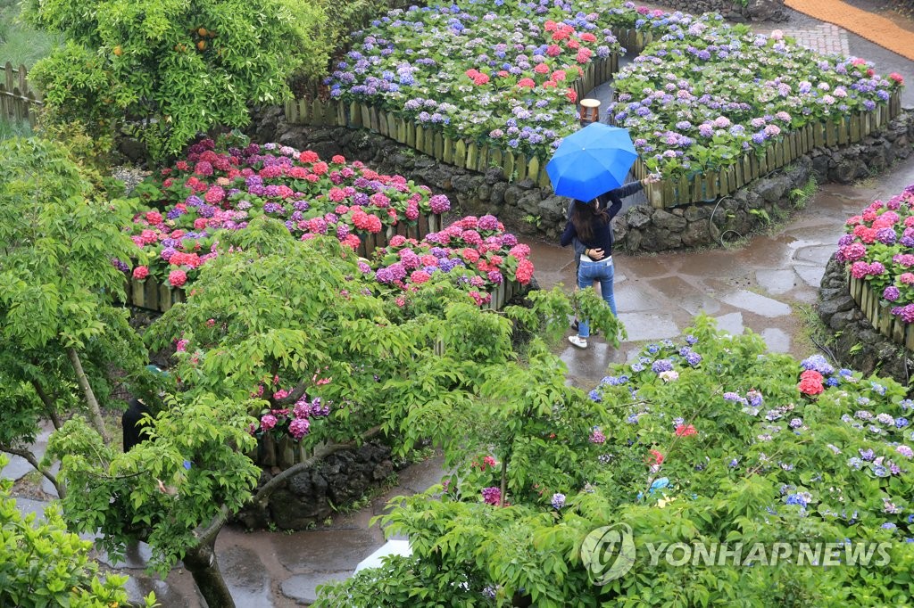 내일 중부지방 곳곳에서 천둥·번개 동반한 소나기