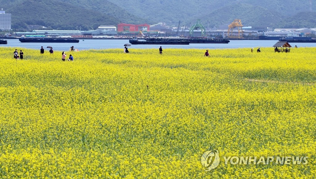 '역시 거리두기 풀리자'…축제장·관광 명소마다 '인산인해'