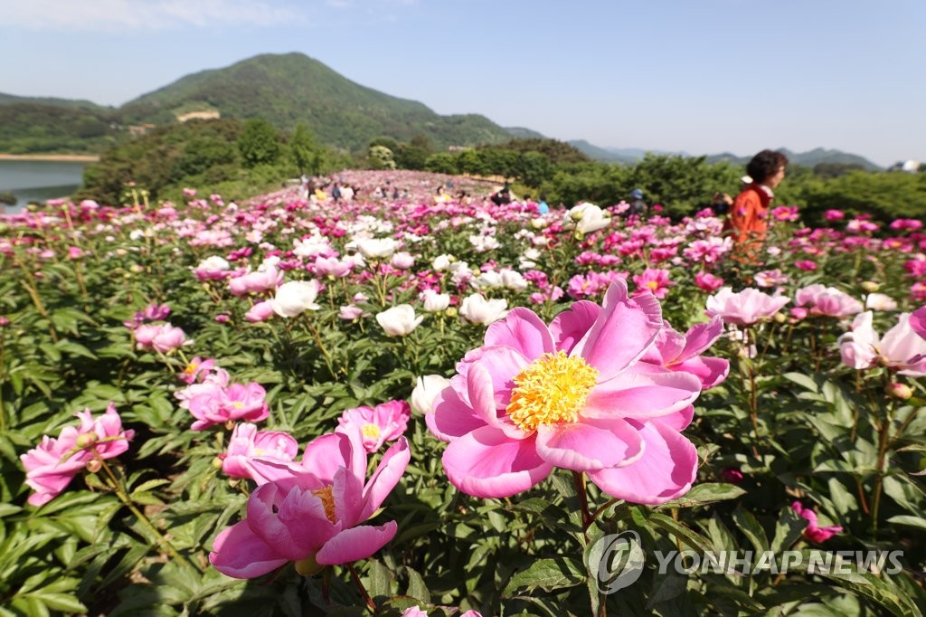 전북 구름 많고 건조…낮 최고 24∼27도