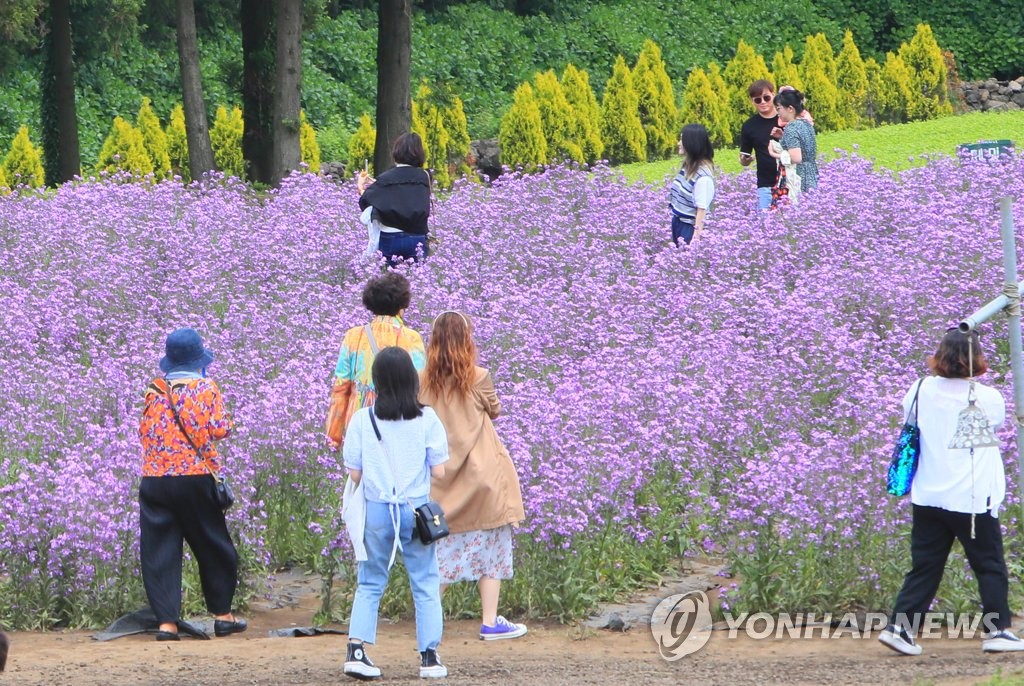 "5월은 푸르구나" 전국 관광명소에 상춘객 인산인해