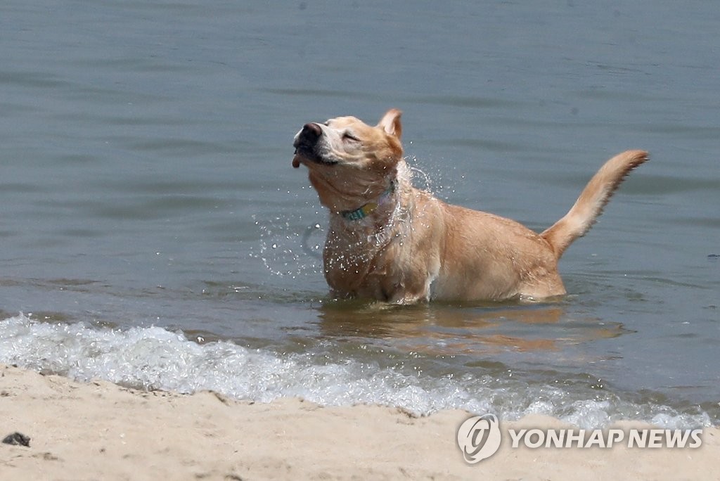 전국 맑고 큰 일교차…낮 기온 30도 안팎 더위