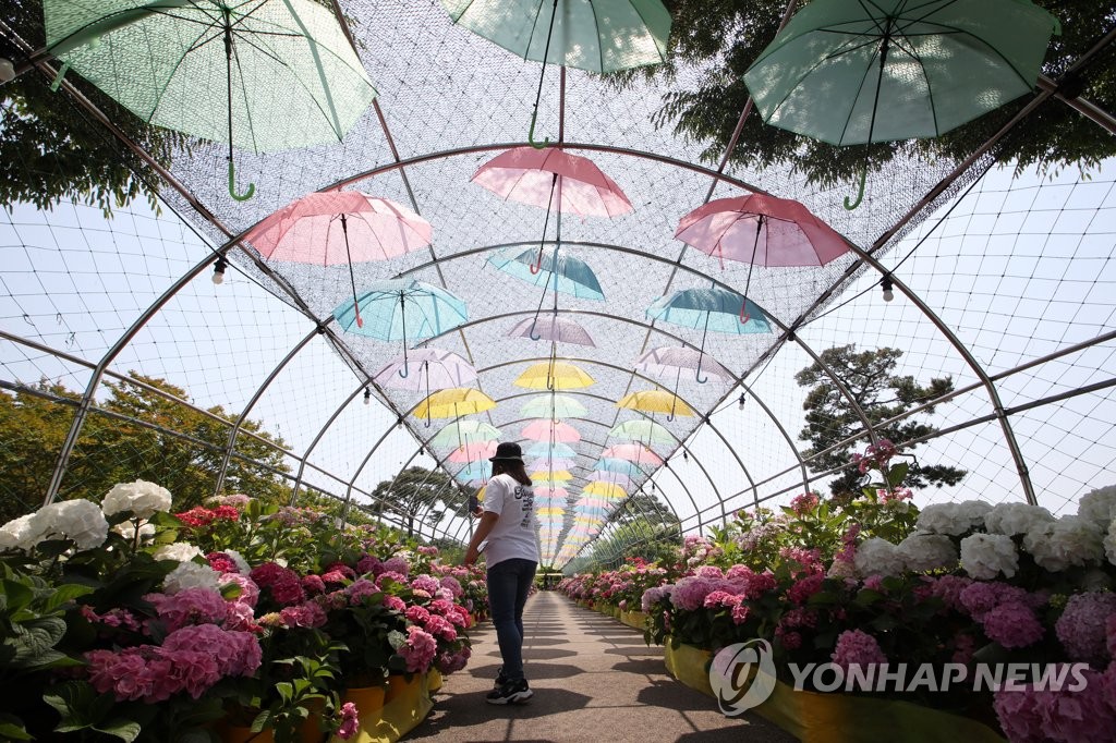 3년 만에 열린 봄꽃축제, 방문객 숫자는 '일상회복' 완료