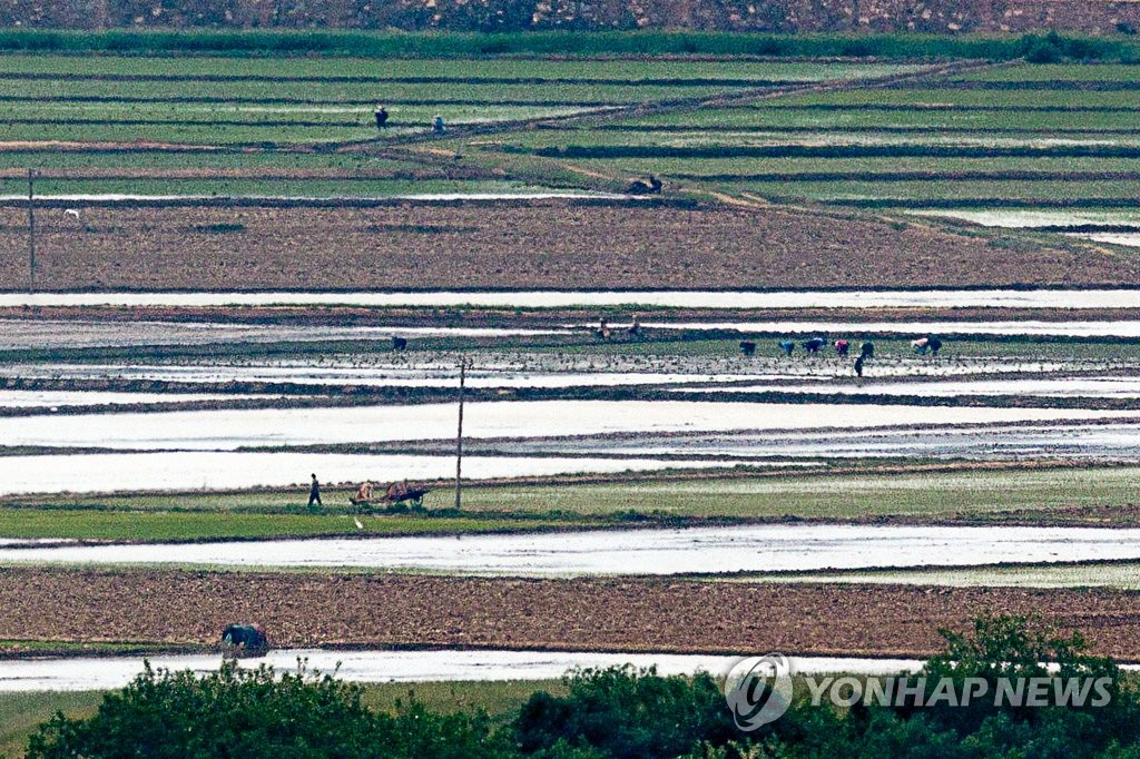 통일부 "북, 코로나로 식량 외부도입 축소…식량난 가중 예상"