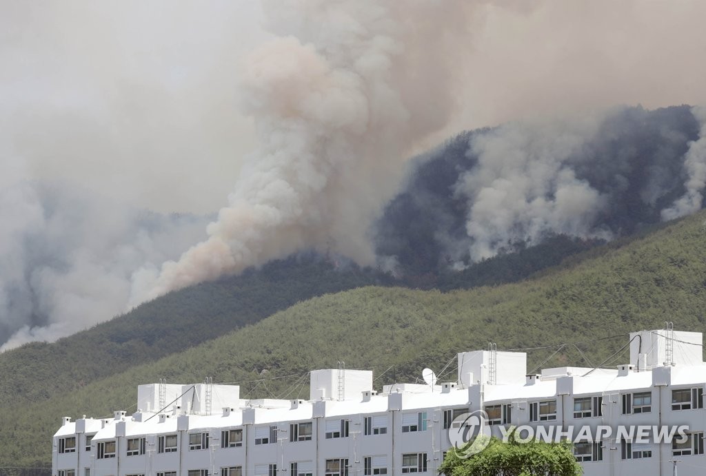 밀양 산불, 푸릇한 이파리가 장애물…"자욱한 연기가 시야 방해"