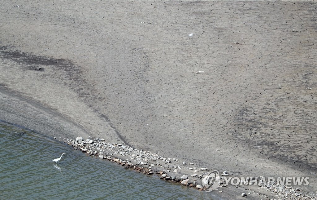 평년 절반 안 되는 강수량…말라가는 경북 저수지·댐