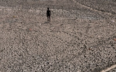 인도 때이른 폭염…봄 없이 바로 여름 '122년만 신기록'