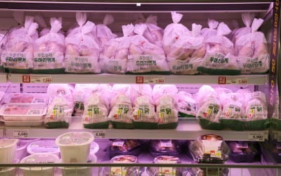 닭고기 가격 인상 여파에 하림·마니커 주가 '급등'