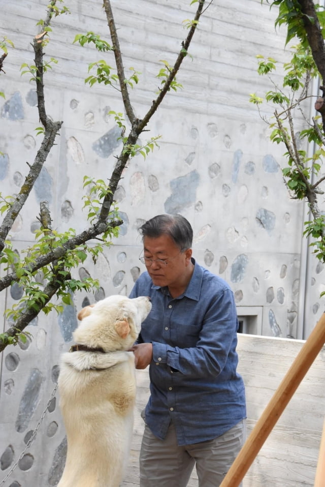 문재인 전 대통령이 경남 양산시 하북면 평산마을 사저에서 애완견과 함께 즐거운 시간을 보내고 있다. 사진 촬영 일은 공개되지 않았다. / 사진=문 전 대통령 페이스북