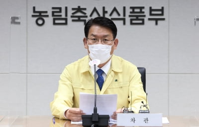 중수본 "아프리카돼지열병 추가 전파 없어…수급 영향 미미"