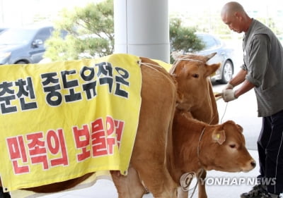 [레고랜드개장] ③ 수년간 빗발친 고발장…일부 사건 여전히 수사 중