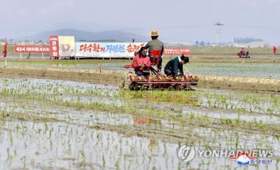 북한, 심상치 않은 봄 가뭄에 '평양 화이트칼라' 총동원(종합)