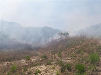 가평 청평면에 산불…산림 0.16㏊ 소실