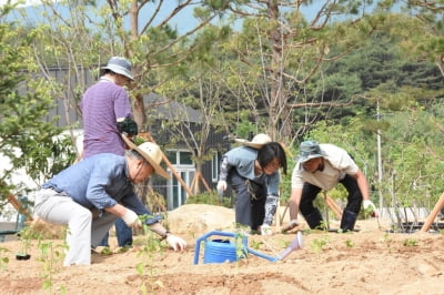 "밭일을 시작했습니다"…소소한 일상 알린 문재인 전 대통령