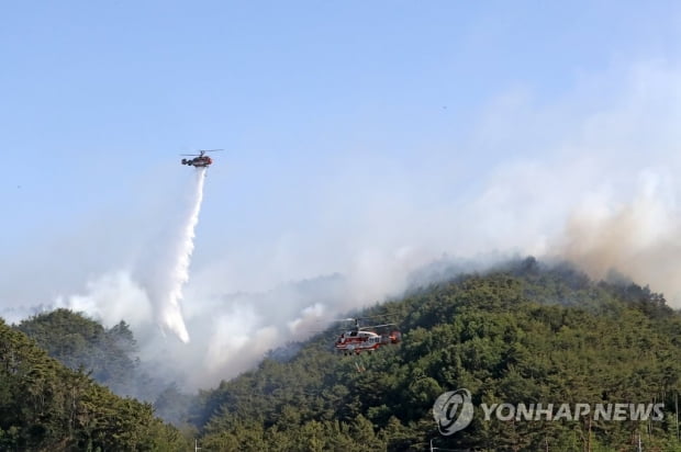 울진 산불 23시간여만에 진화…축구장 203개 면적 태워