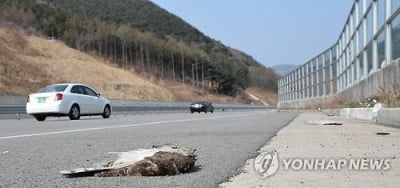 '방음벽 새 충돌' 없도록…야생생물법 개정안 국회 통과